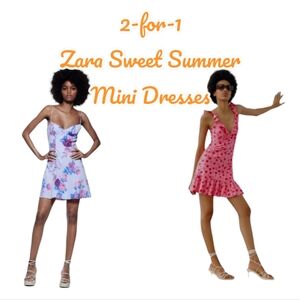 2 for 1 Zara Floral Pink Purple Coquette Mini Dresses both size small